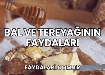 Bal ve Tereyağının Faydaları