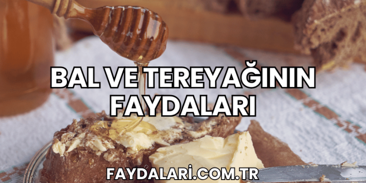 Bal ve Tereyağının Faydaları