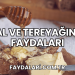 Bal ve Tereyağının Faydaları