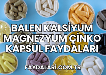 Balen Kalsiyum Magnezyum Çinko Kapsül Faydaları
