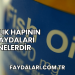 Balık Hapının Faydaları Nelerdir