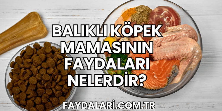 Balıklı Köpek Mamasının Faydaları Nelerdir?