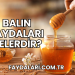 Balın Faydaları Nelerdir?