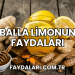 Balla Limonun Faydaları