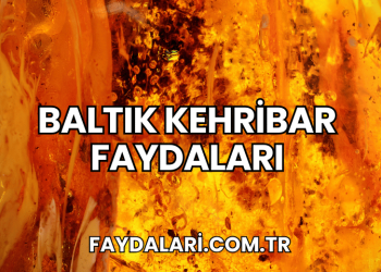 Baltık Kehribar Faydaları