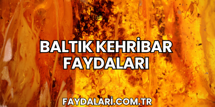 Baltık Kehribar Faydaları
