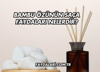 Bambu Özünün Saça Faydaları Nelerdir?