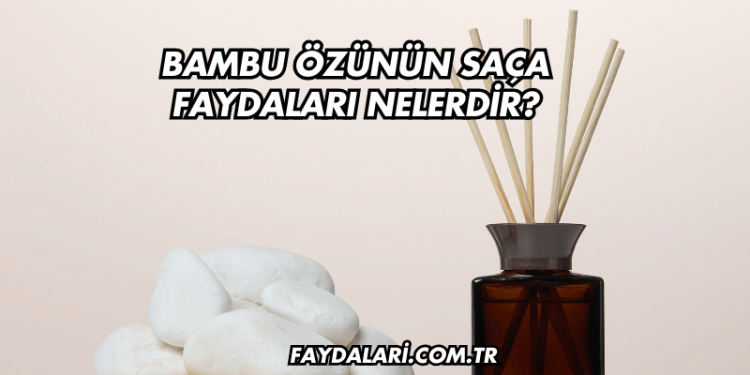 Bambu Özünün Saça Faydaları Nelerdir?