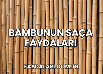 Bambunun Saça Faydaları