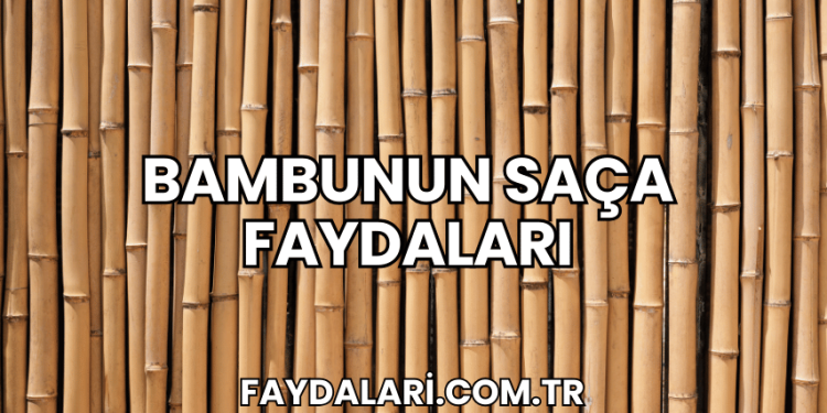 Bambunun Saça Faydaları