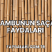Bambunun Saça Faydaları