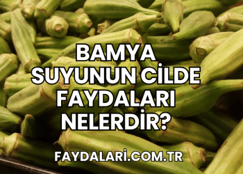 Bamya Suyunun Cilde Faydaları Nelerdir?