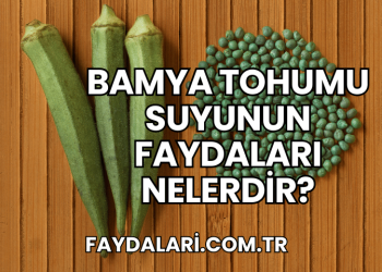 Bamya Tohumu Suyunun Faydaları Nelerdir?