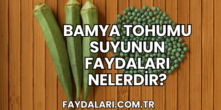 Bamya Tohumu Suyunun Faydaları Nelerdir?