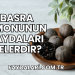 Basra Limonunun Faydaları Nelerdir?
