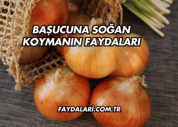 Başucuna Soğan Koymanın Faydaları