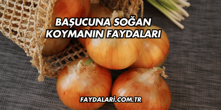 Başucuna Soğan Koymanın Faydaları