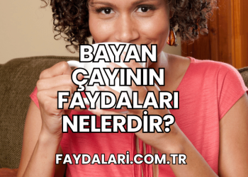 Bayan Çayının Faydaları Nelerdir?