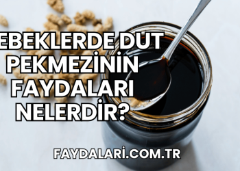 Bebeklerde Dut Pekmezinin Faydaları Nelerdir?