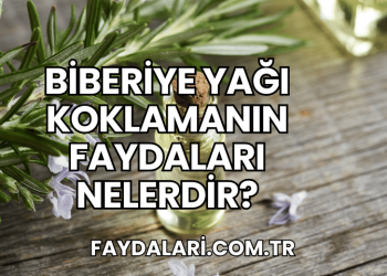 Biberiye Yağı Koklamanın Faydaları Nelerdir?