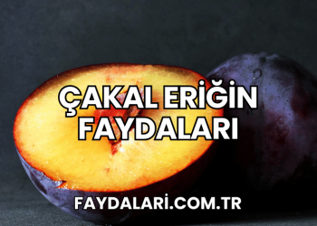 Çakal Eriğin Faydaları