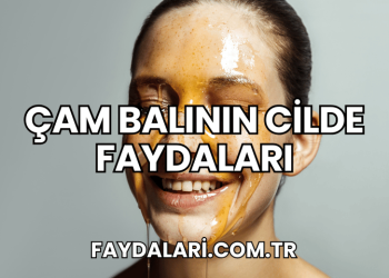 Çam Balının Cilde Faydaları