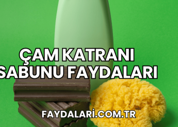 Çam Katranı Sabunu Faydaları