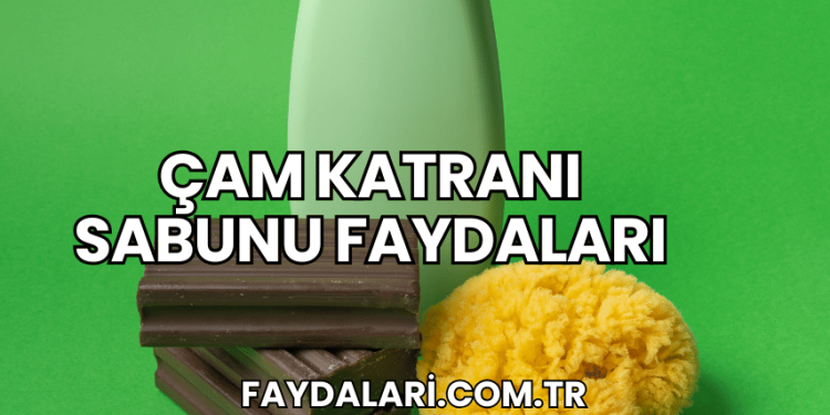 Çam Katranı Sabunu Faydaları
