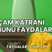 Çam Katranı Sabunu Faydaları