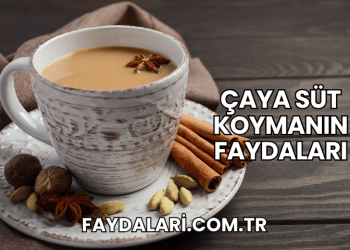 Çaya Süt Koymanın Faydaları