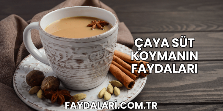 Çaya Süt Koymanın Faydaları