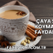 Çaya Süt Koymanın Faydaları
