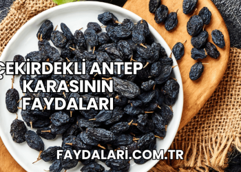 Çekirdekli Antep Karasının Faydaları
