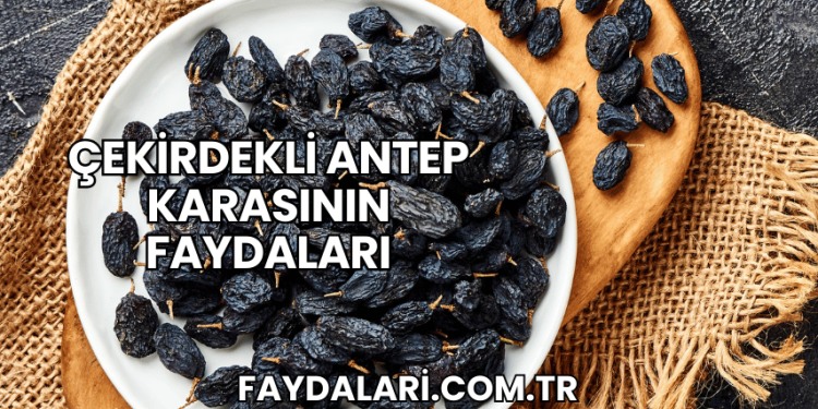 Çekirdekli Antep Karasının Faydaları