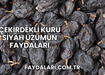 Çekirdekli Kuru Siyah Üzümün Faydaları