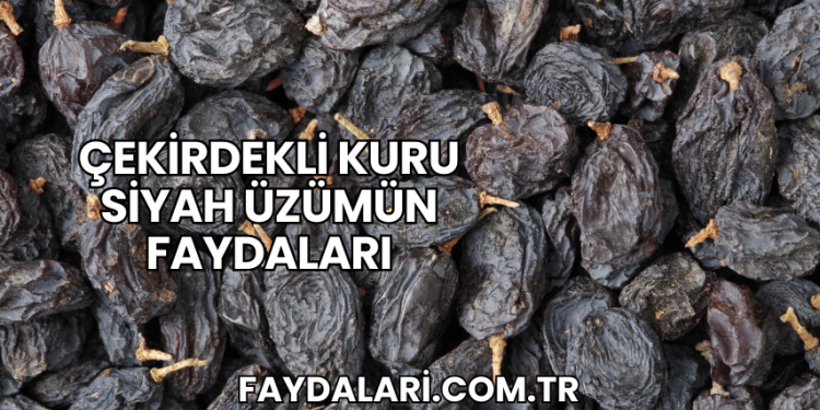 Çekirdekli Kuru Siyah Üzümün Faydaları