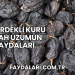 Çekirdekli Kuru Siyah Üzümün Faydaları