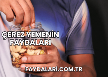 Çerez Yemenin Faydaları