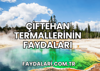 Çiftehan Termallerinin Faydaları