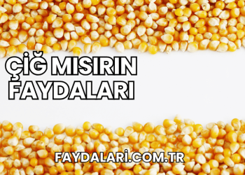 Çiğ Mısırın Faydaları