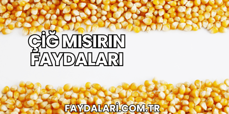 Çiğ Mısırın Faydaları