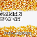 Çiğ Mısırın Faydaları