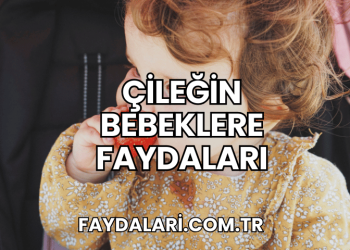 Çileğin Bebeklere Faydaları