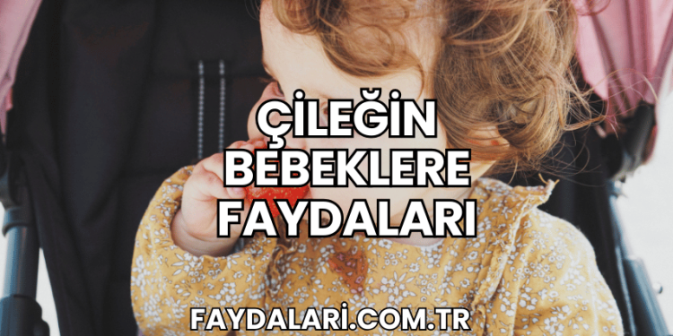 Çileğin Bebeklere Faydaları