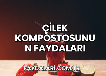 Çilek Kompostosunun Faydaları