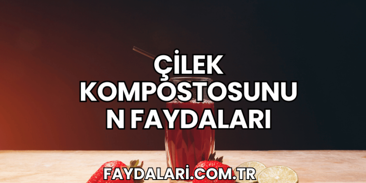 Çilek Kompostosunun Faydaları