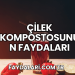 Çilek Kompostosunun Faydaları