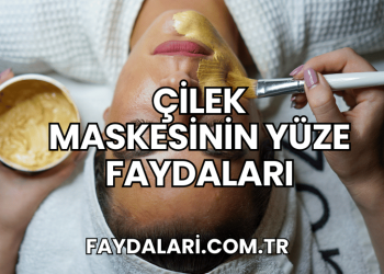 Çilek Maskesinin Yüze Faydaları