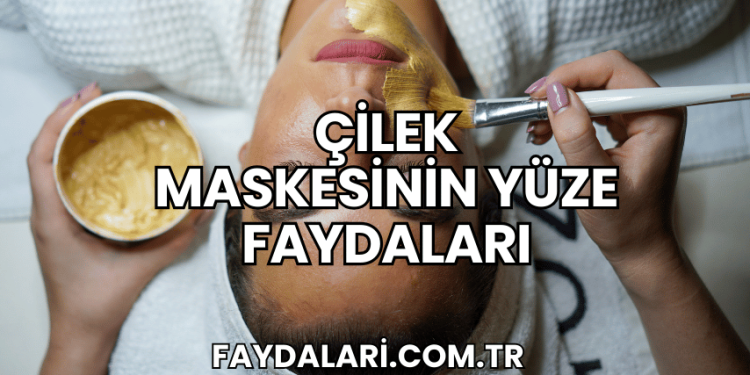 Çilek Maskesinin Yüze Faydaları