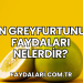 Çin Greyfurtunun Faydaları Nelerdir?